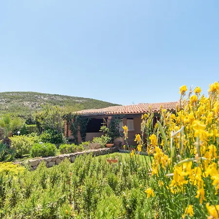 Apartament Vecchio Marino G6 *